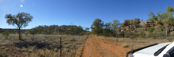 Pic of an outback track, south of Alice Springs