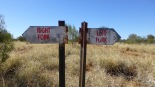 signs saying Right Fork on the left and Left Fork on the right.